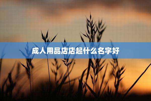 成人用品店店起什么名字好