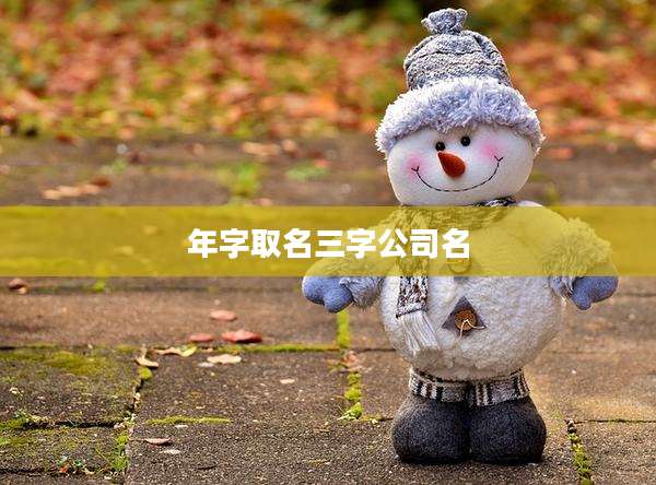 年字取名三字公司名