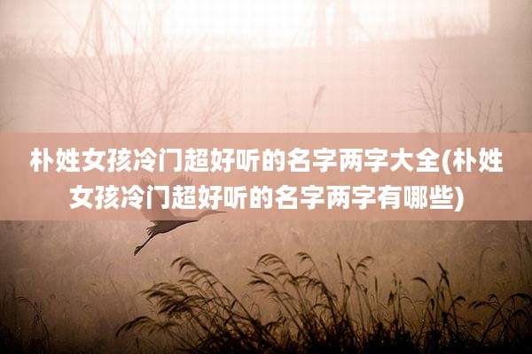 朴姓女孩冷门超好听的名字两字大全(朴姓女孩冷门超好听的名字两字有哪些)