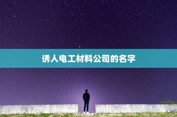 诱人电工材料公司的名字