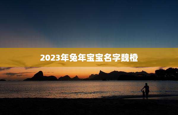 2023年兔年宝宝名字魏橙