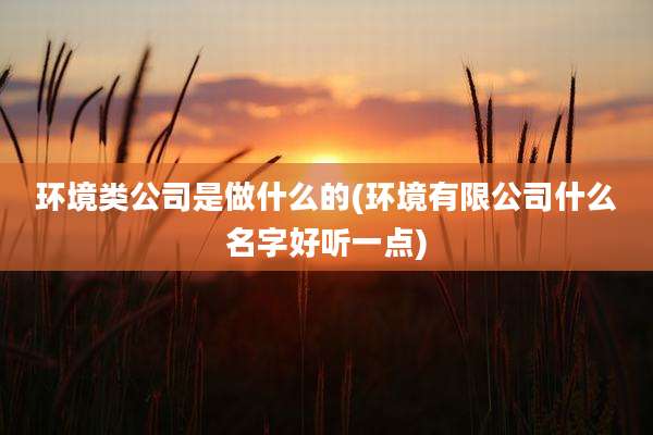 环境类公司是做什么的(环境有限公司什么名字好听一点)