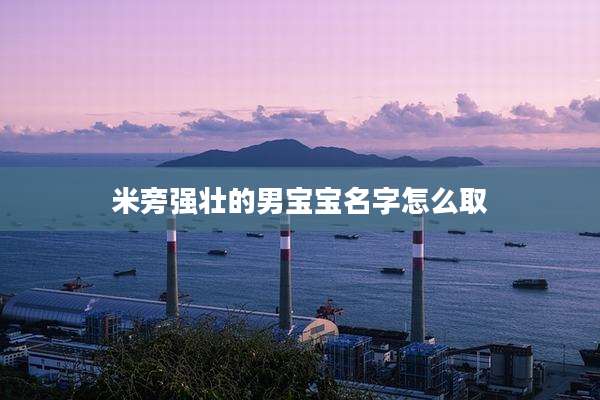 米旁强壮的男宝宝名字怎么取