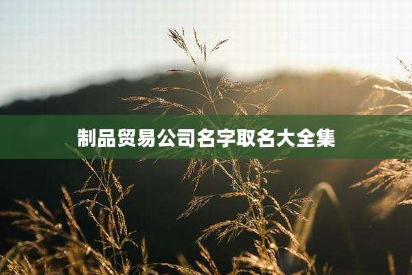制品贸易公司名字取名大全集