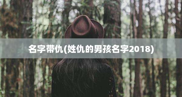 名字带仇(姓仇的男孩名字2018)
