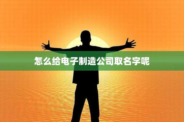 怎么给电子制造公司取名字呢