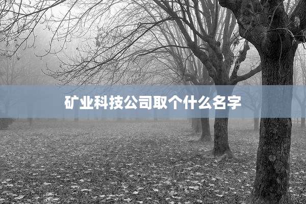 矿业科技公司取个什么名字