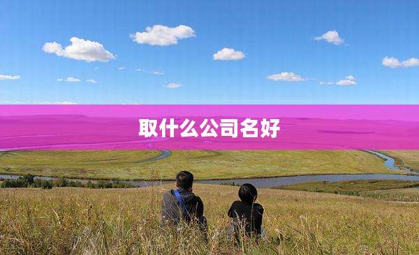 取什么公司名好