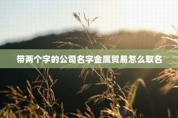 带两个字的公司名字金属贸易怎么取名