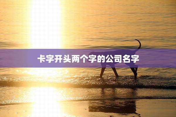 卡字开头两个字的公司名字