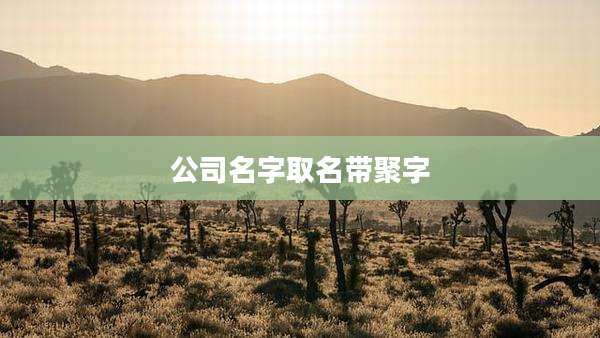 公司名字取名带聚字