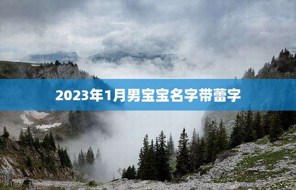 2023年1月男宝宝名字带蕾字