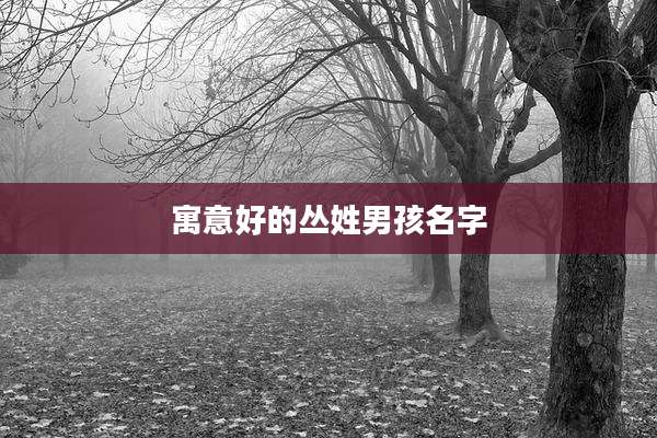 寓意好的丛姓男孩名字