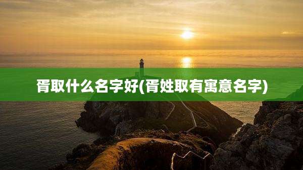 胥取什么名字好(胥姓取有寓意名字)