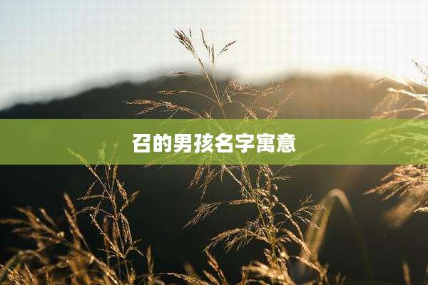 召的男孩名字寓意