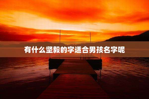 有什么坚毅的字适合男孩名字呢