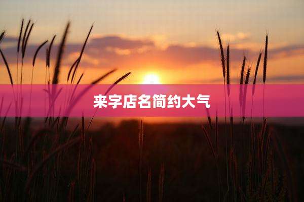 来字店名简约大气