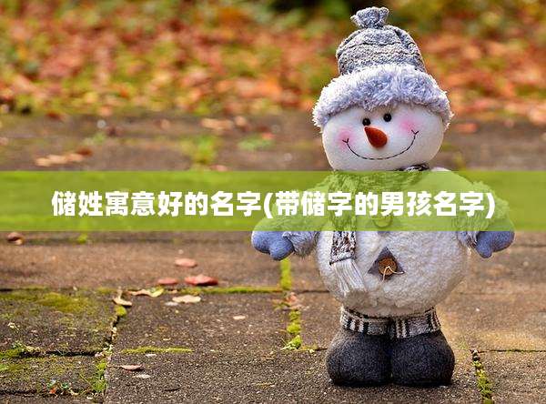 储姓寓意好的名字(带储字的男孩名字)