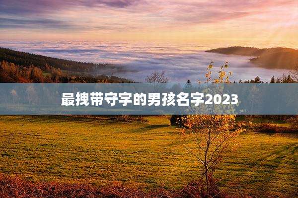 最拽带守字的男孩名字2023