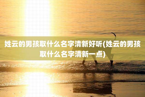 姓云的男孩取什么名字清新好听(姓云的男孩取什么名字清新一点)