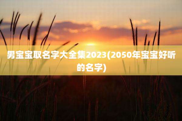 男宝宝取名字大全集2023(2050年宝宝好听的名字)