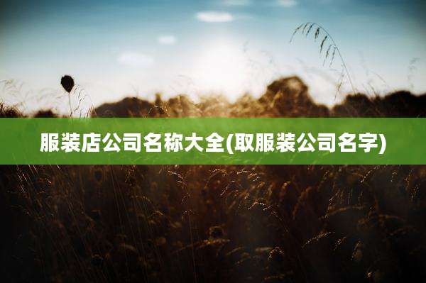 服装店公司名称大全(取服装公司名字)