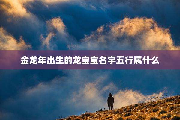 金龙年出生的龙宝宝名字五行属什么