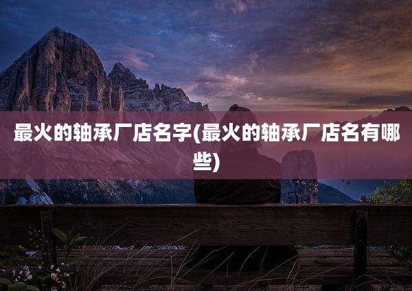 最火的轴承厂店名字(最火的轴承厂店名有哪些)