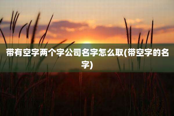 带有空字两个字公司名字怎么取(带空字的名字)