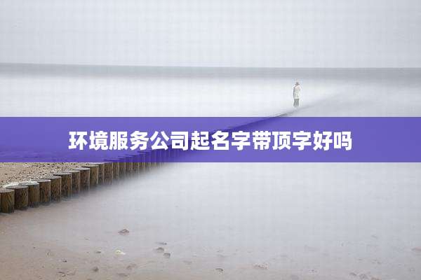 环境服务公司起名字带顶字好吗