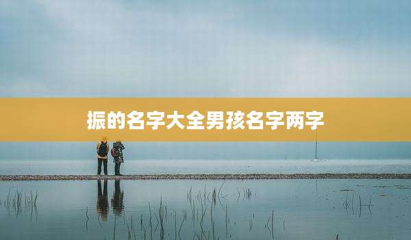 振的名字大全男孩名字两字