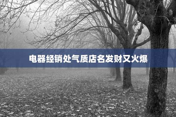 电器经销处气质店名发财又火爆