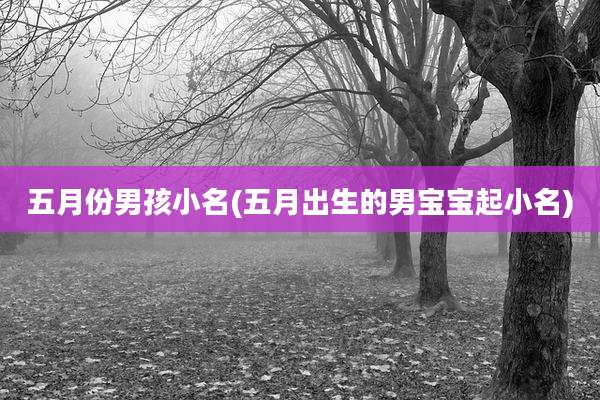五月份男孩小名(五月出生的男宝宝起小名)