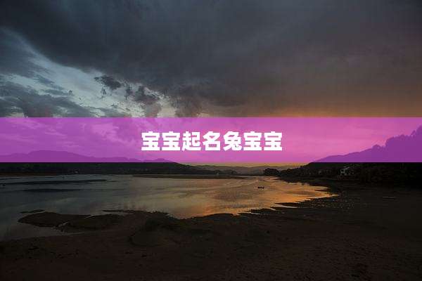 宝宝起名兔宝宝