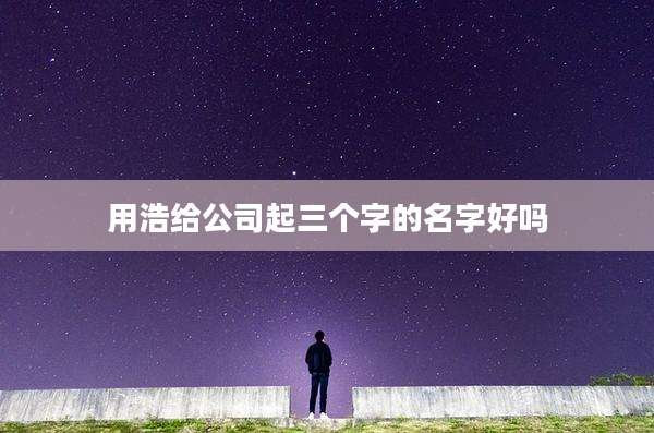 用浩给公司起三个字的名字好吗
