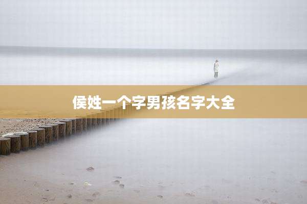 侯姓一个字男孩名字大全