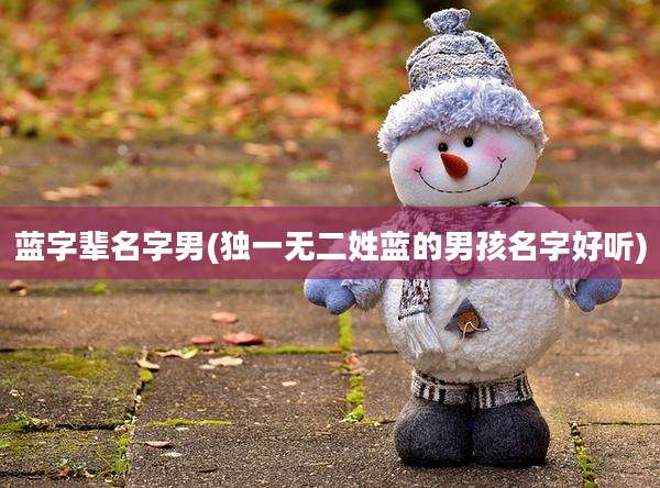蓝字辈名字男(独一无二姓蓝的男孩名字好听)