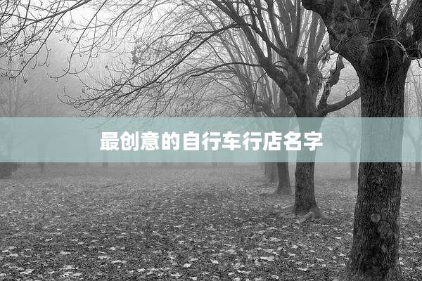 最创意的自行车行店名字