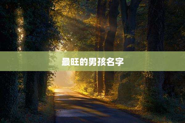 最旺的男孩名字