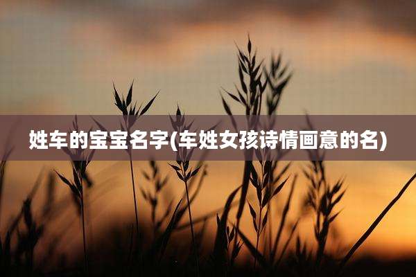 姓车的宝宝名字(车姓女孩诗情画意的名)