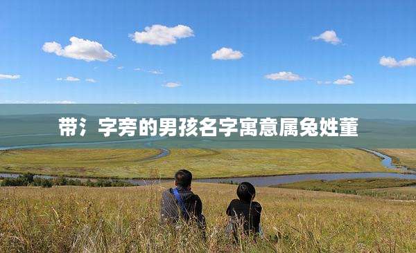 带氵字旁的男孩名字寓意属兔姓董