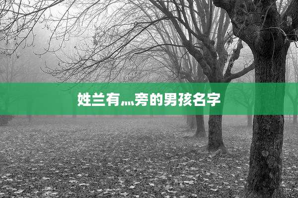 姓兰有灬旁的男孩名字