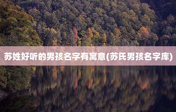 苏姓好听的男孩名字有寓意(苏氏男孩名字库)