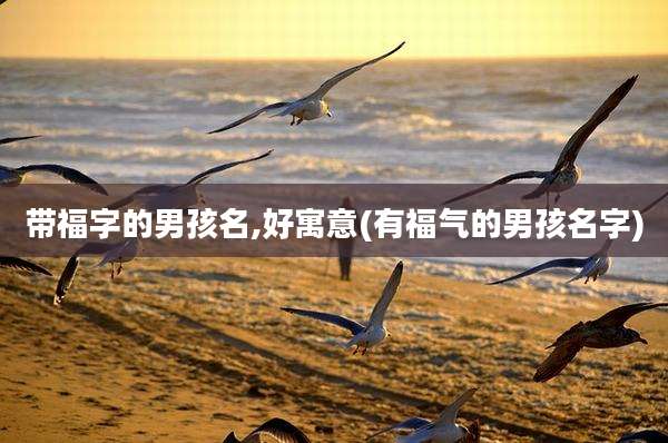 带福字的男孩名,好寓意(有福气的男孩名字)