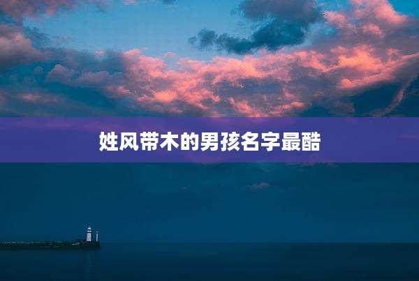 姓风带木的男孩名字最酷