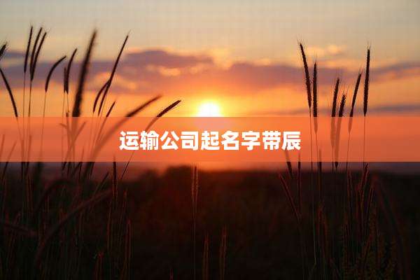 运输公司起名字带辰
