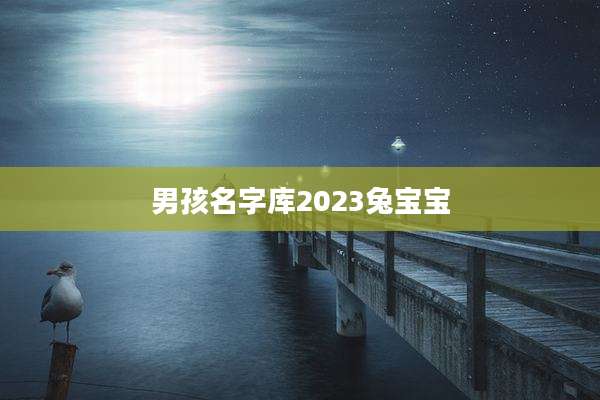 男孩名字库2023兔宝宝