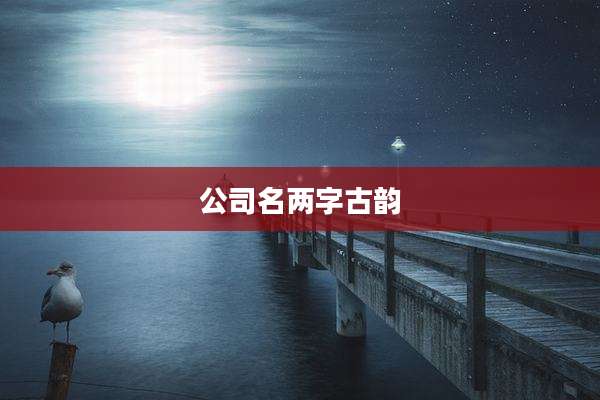 公司名两字古韵