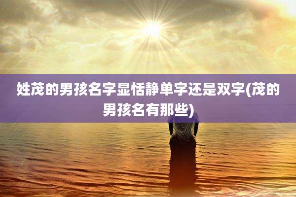 姓茂的男孩名字显恬静单字还是双字(茂的男孩名有那些)