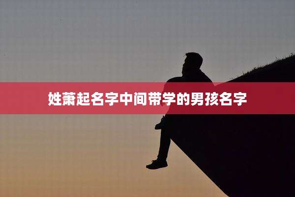 姓萧起名字中间带学的男孩名字